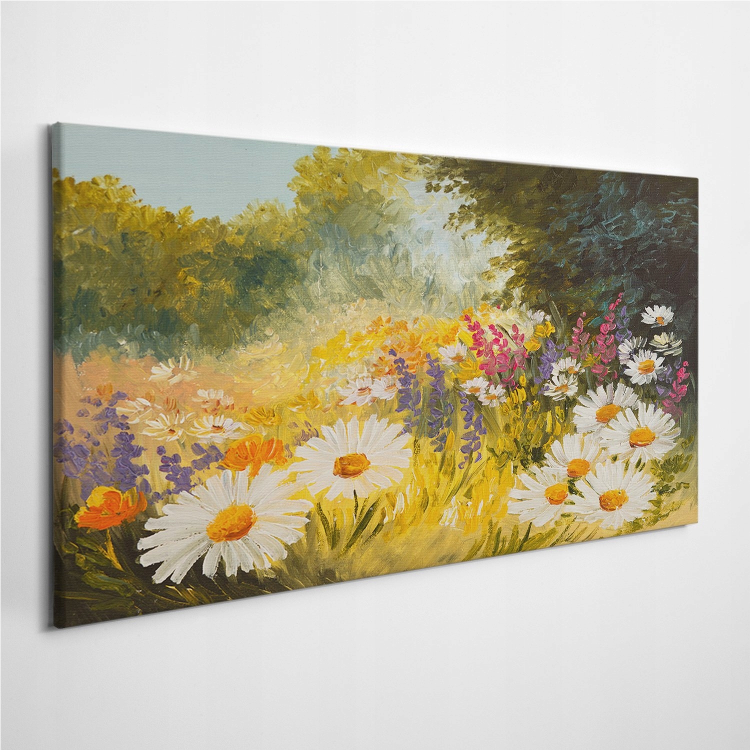 

Zdjęcie na płótnie Stokrotki Łąka Natura 120x60 cm