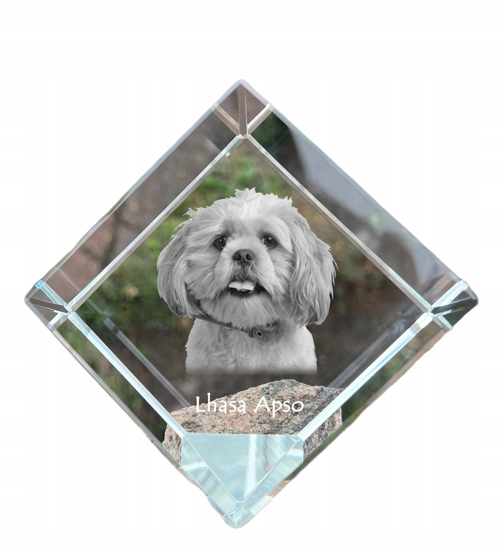 Lhasa Apso krištáľová kocka s fotografiou psa, ozdoba na stôl, tlačidlo