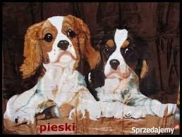 KOC AKRYLOWY NARZUTA 160x210 KONIE Kod producenta k76