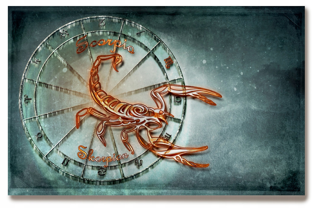 

Obraz Na Płótnie 30x20 znak Znaki Zodiaku horoskop