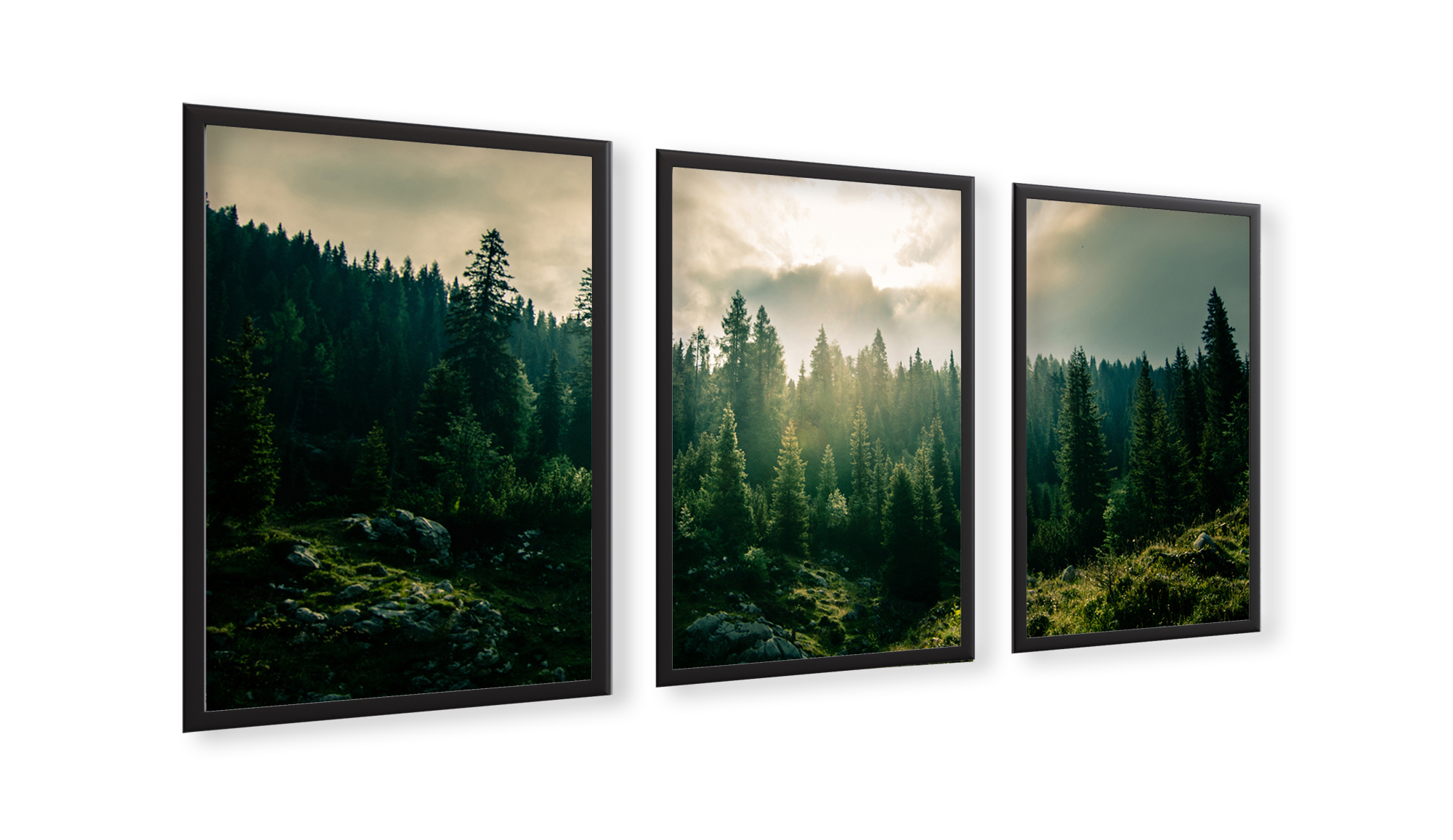 Zestaw plakatów obrazy plakaty 40x50 skandynawski las drzewa