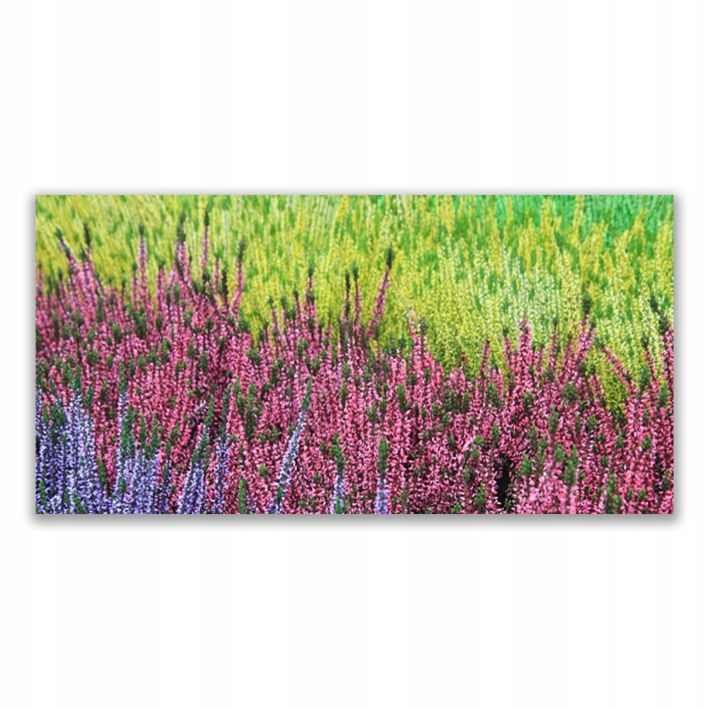 

Obraz akryl nowoczesny 120x60 Kwiat Roślina Natura