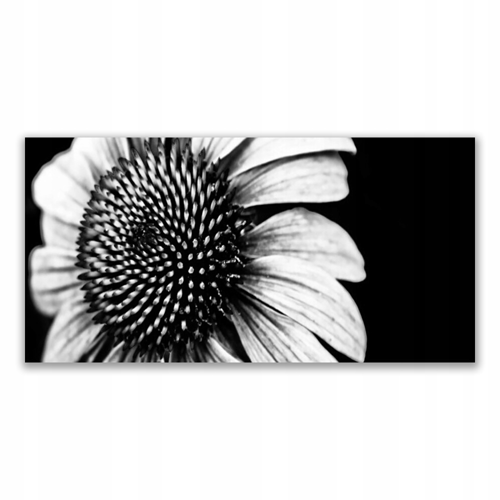 

Obraz akrylowy ścienny 120x60 Kwiat Roślina Natura