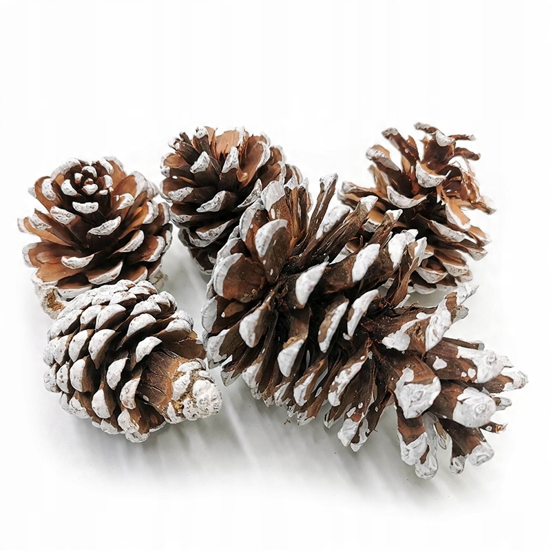 

Szyszka Pine Ośnieżona Dekoracja Stroik