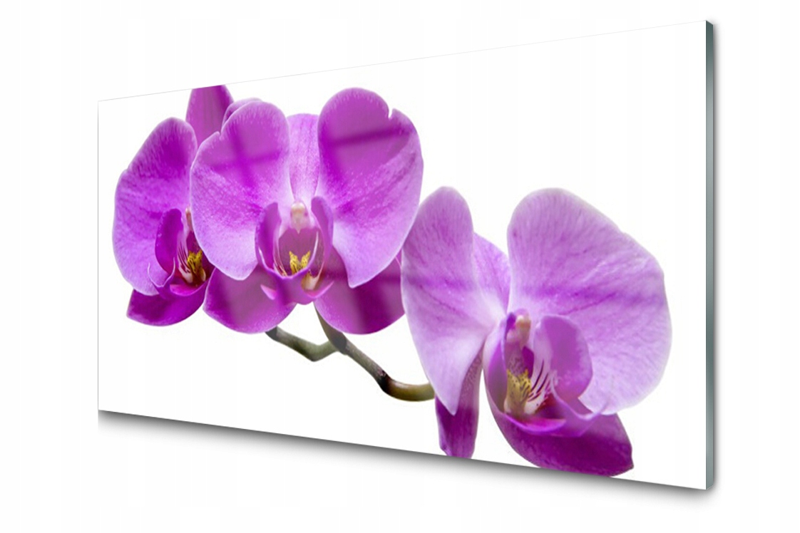 

Panel szklany dekor Kwiaty Storczyk 120x60 + Klej