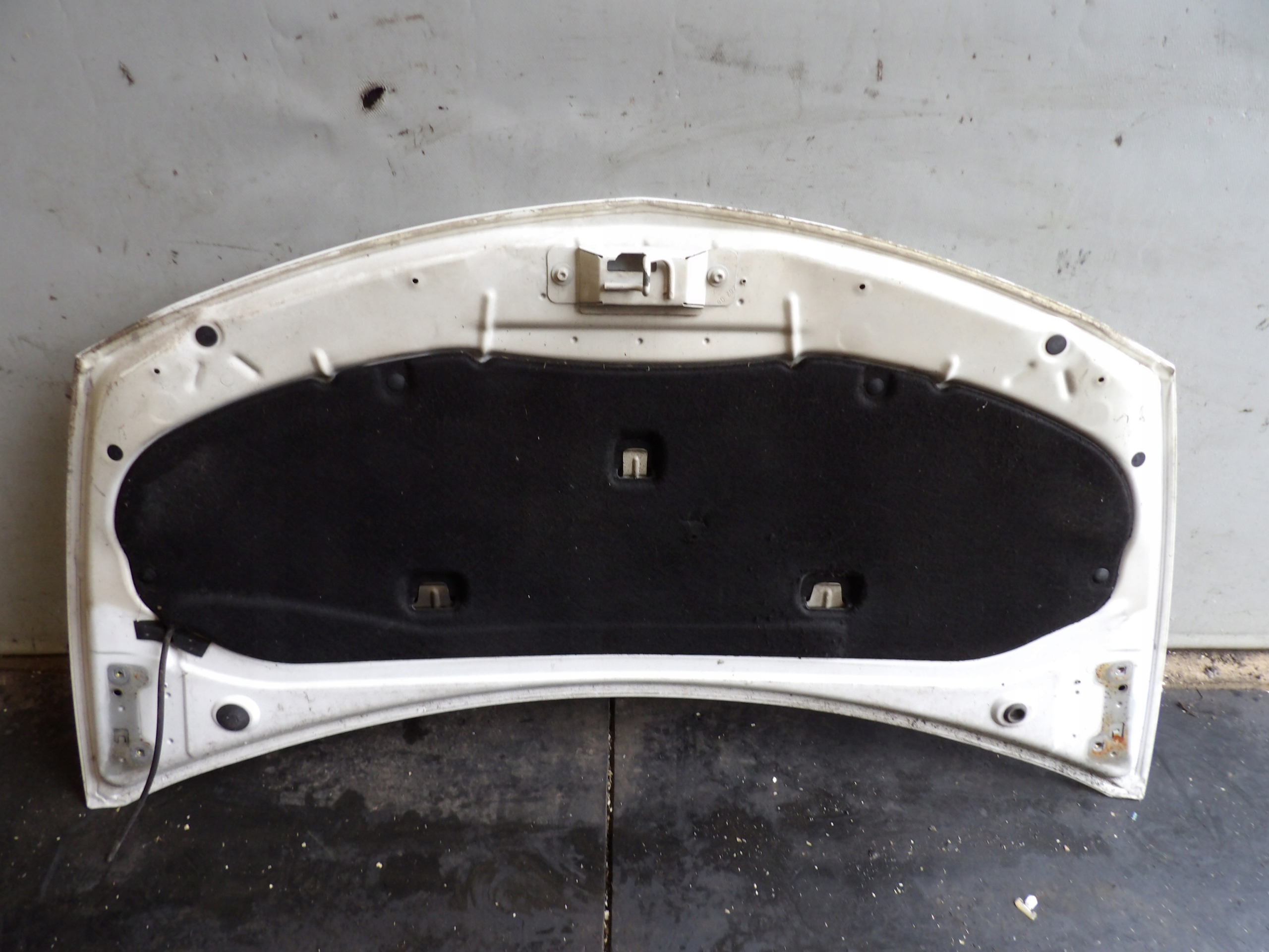 Renault Clio III cofano lak. OV369 0V369