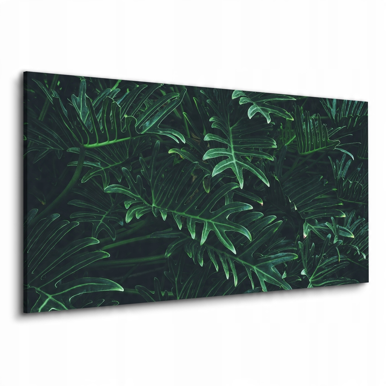 

Obraz canvas do salonu tropikalne liście 120x60