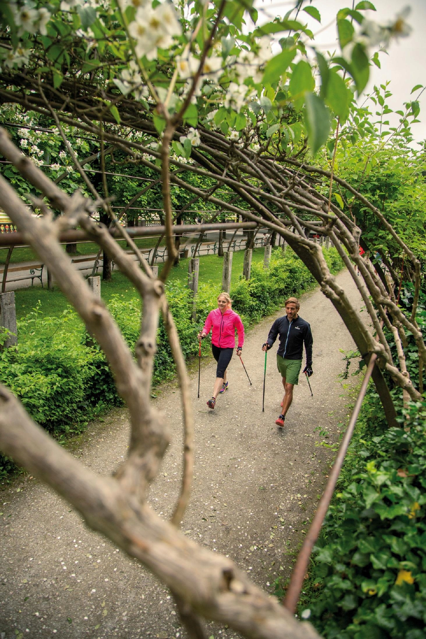 Kije karbon Kijki Nordic Walking LEKI PASSION 110 cm Rączki korkowe