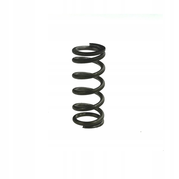 

Sprężyna Miski Kosza Sprzęgła Wsk 125 Wfm M06 Shl