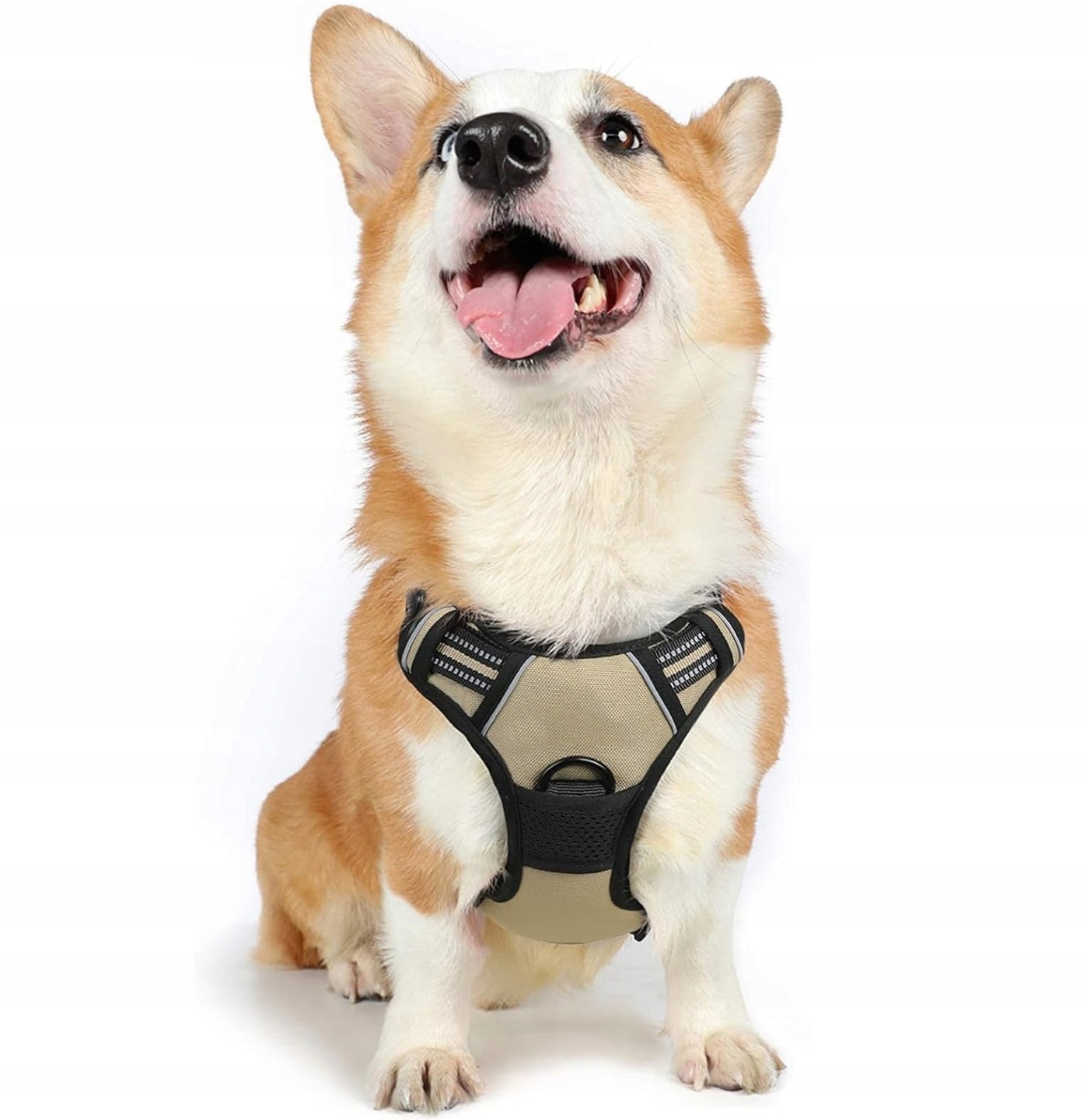 Levně Dětské postroje pro psa s regulací, reflexní, velikost M, béžové