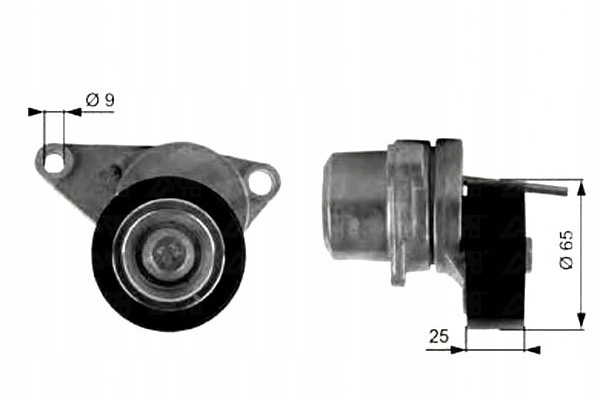 Gates Napínák Řemene Citroen C2, C2 Asistent řidiče #28