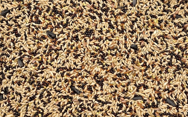 Levně Krmivo pro kanárky Univerzální Kau 10 kg