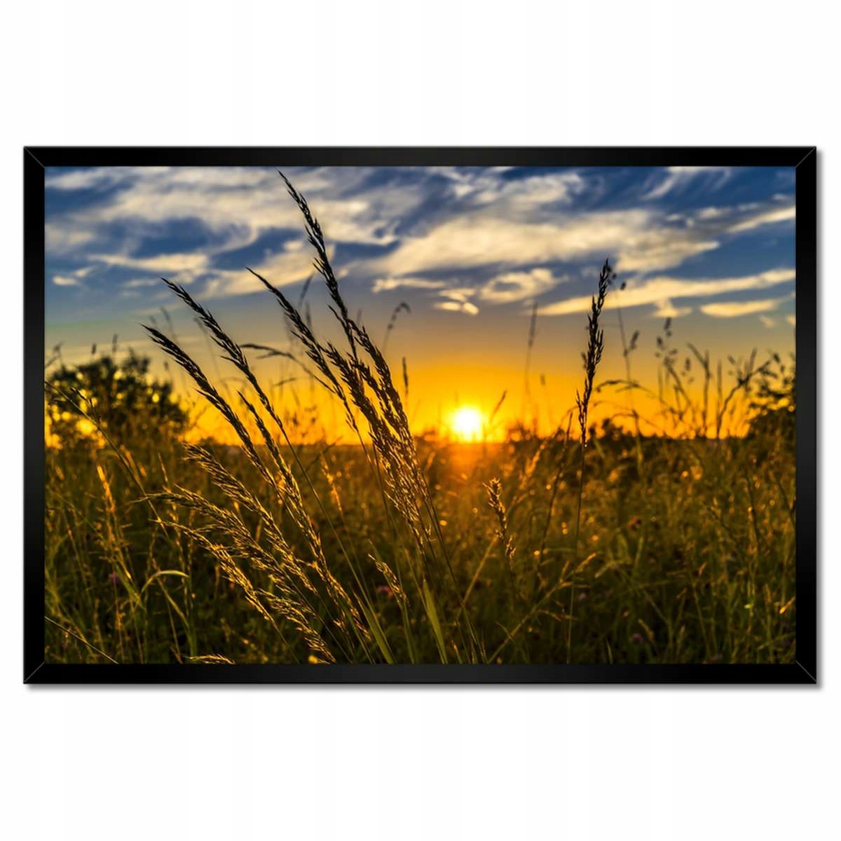 Plakáty v rámu 60x40 Západ slunce mezi trávou