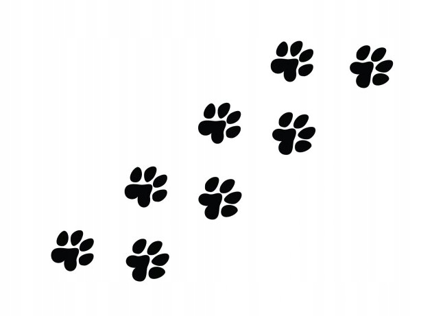 

Naklejka Na Samochód Psie Kocie Łapki 8 Sztuk