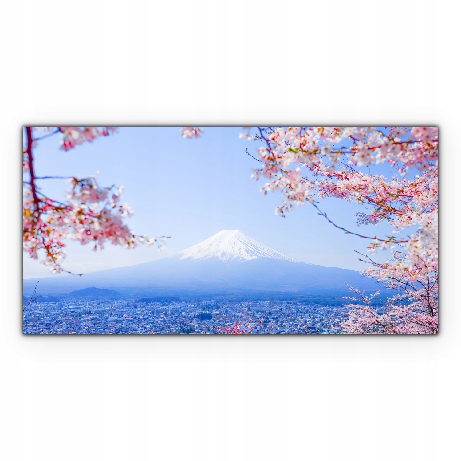 

Obraz płótno z foto 120x60 Japonia Wiśnia Kwiaty