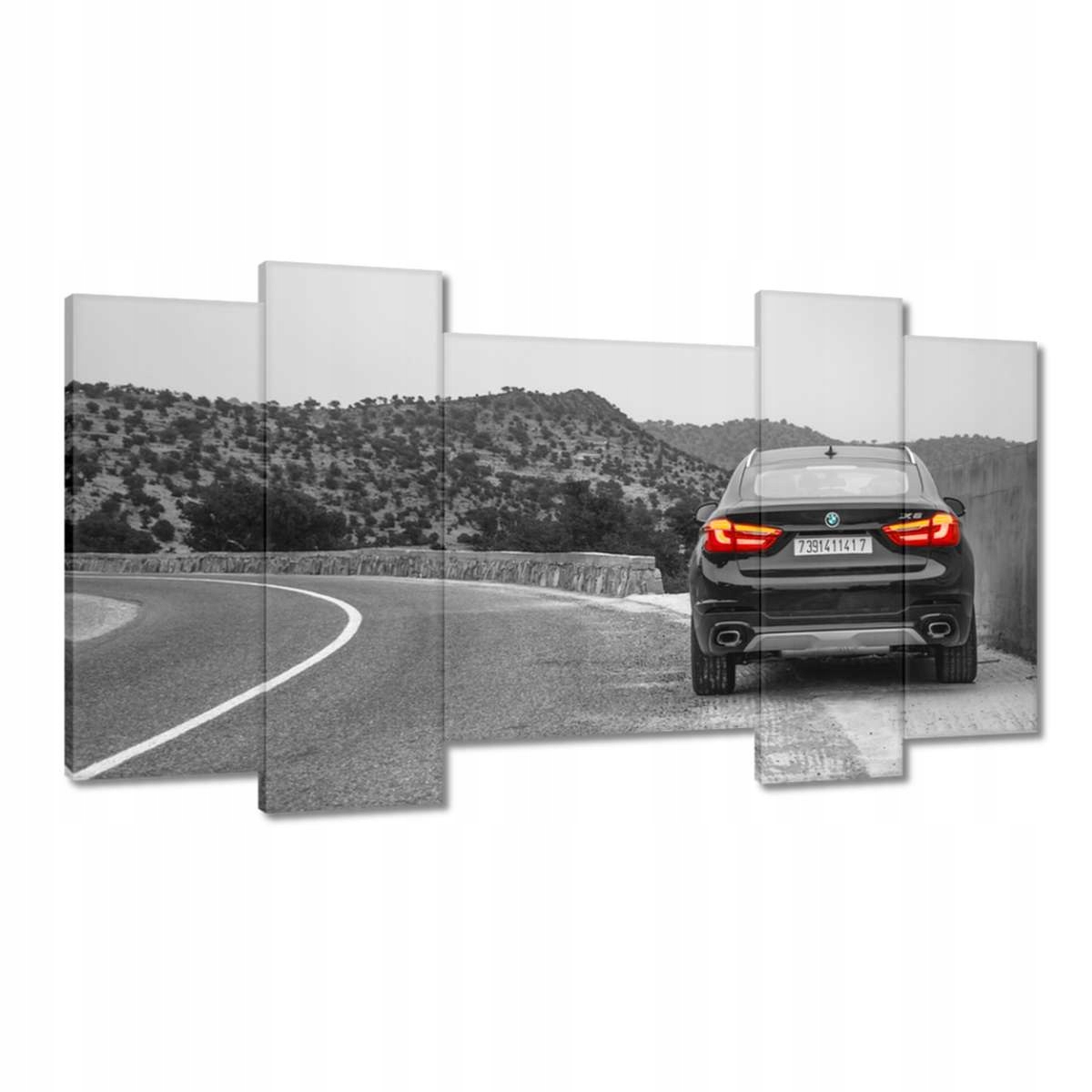 Obrazy 120x65 Bmw černé X6