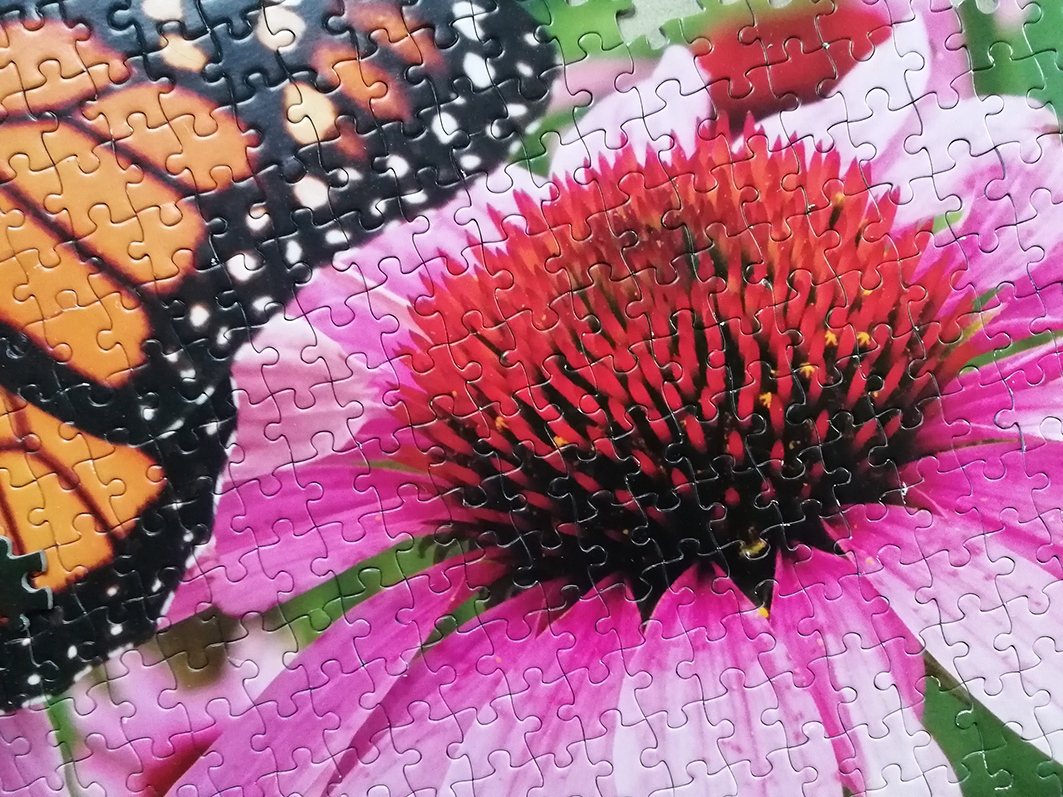 Tactic PUZZLE Motyle 1000el Certyfikaty, opinie, atesty CE