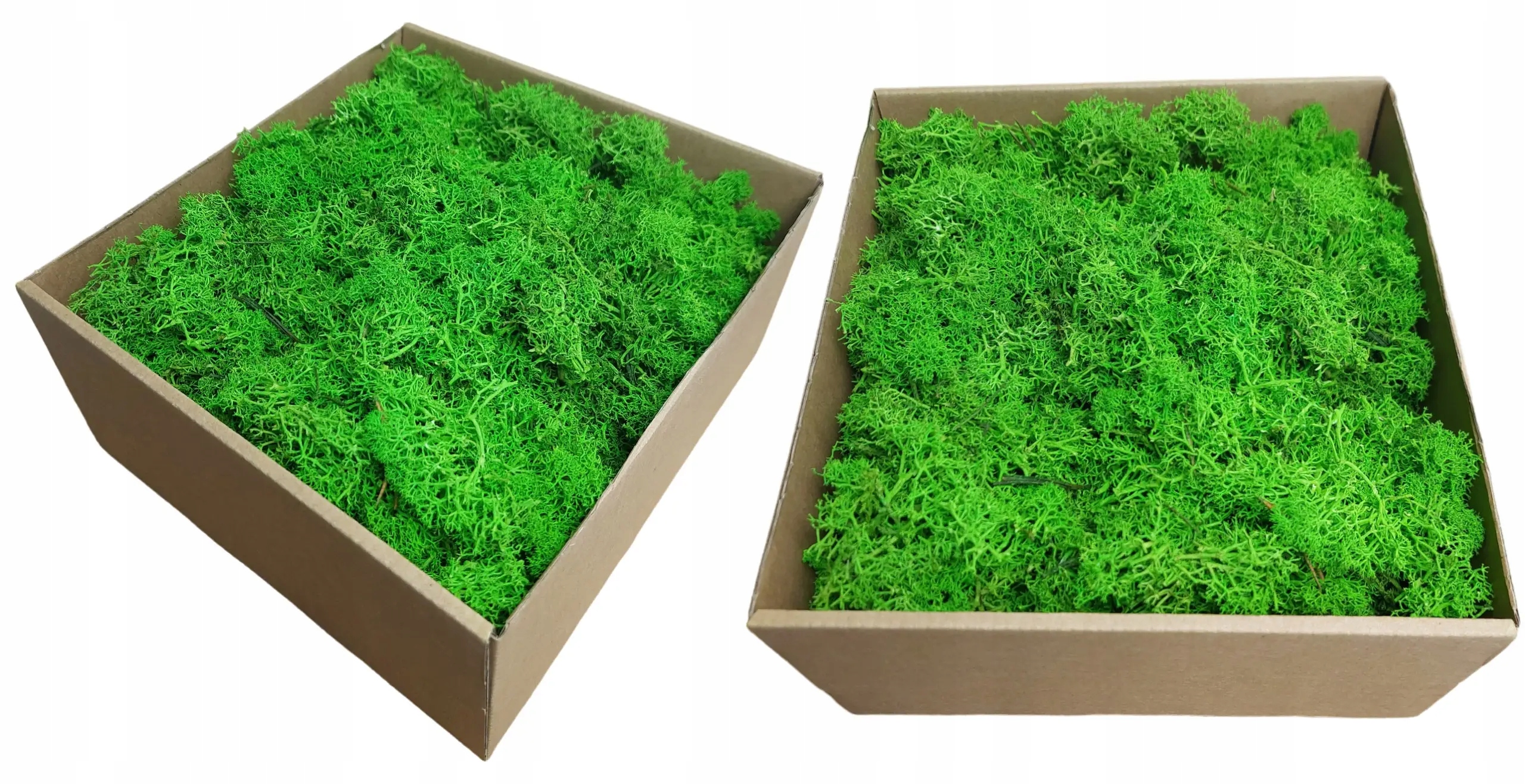 Mech chrobotek reniferowy jasno zielony fiński 200g ściółka do stroika Stan opakowania oryginalne