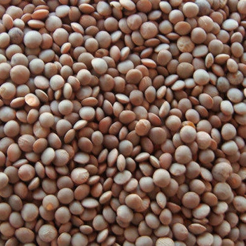 BRĄZOWA SOCZEWICA 500G BROWN LENTILS HEERA Marka Heera