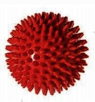 

Zabawka piłka do masażu dziąseł dla psa czerwona