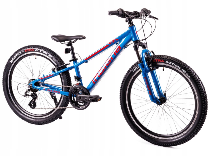 Rower młodzieżowy Indiana X-Pulser 2.4 24 cale Niebiesko-czerwony