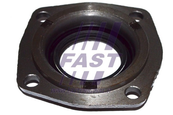 PIERSCIEN USZCZELNIAJACY WALU FT49838 FAST Part manufacturer Fast