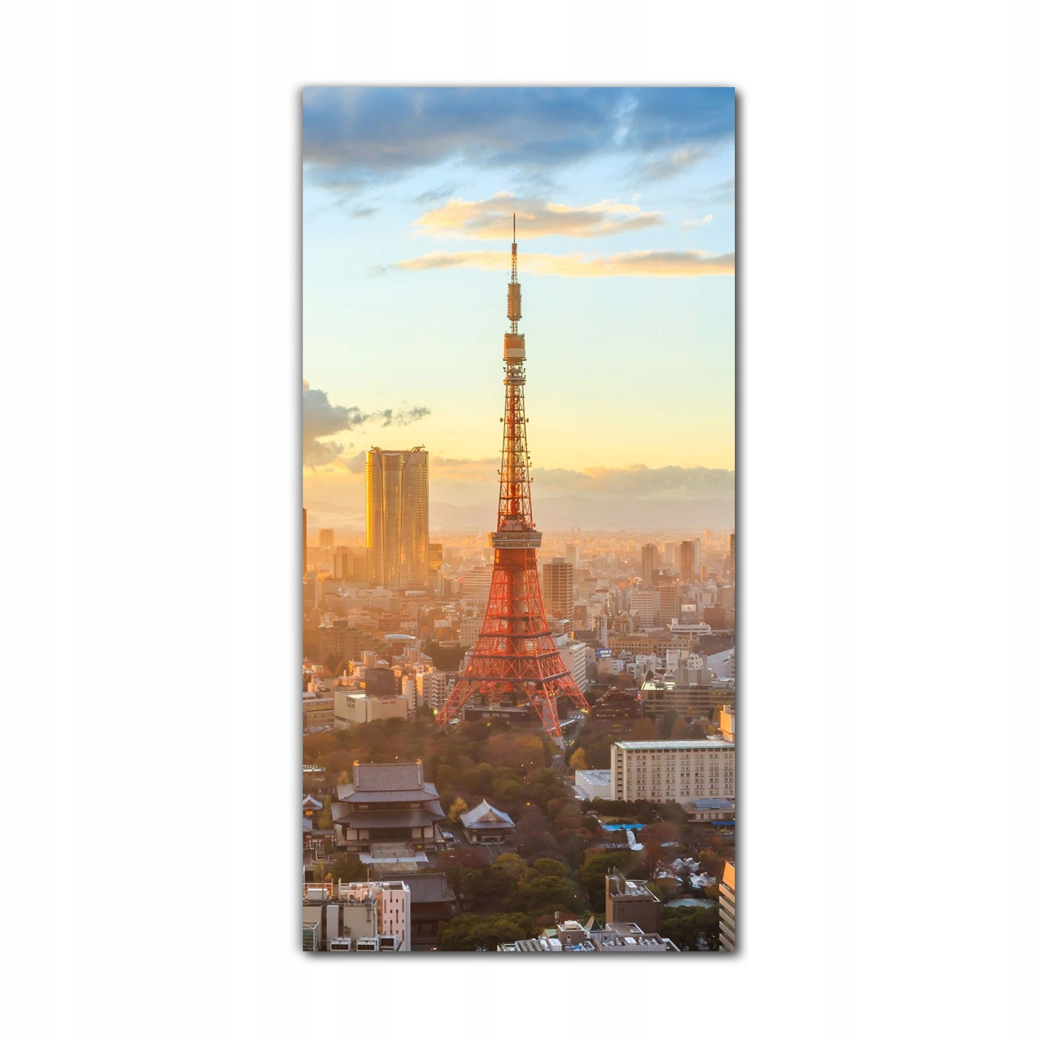 

Obraz na szkle ścienny 70x140 Zachód słońca Tokio