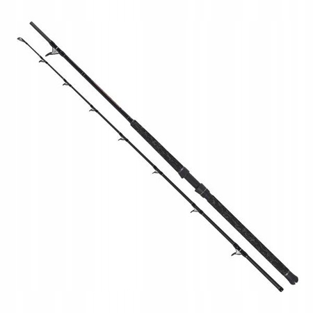 Wędka Robinson Siluro Spin 2,10m 80-250g