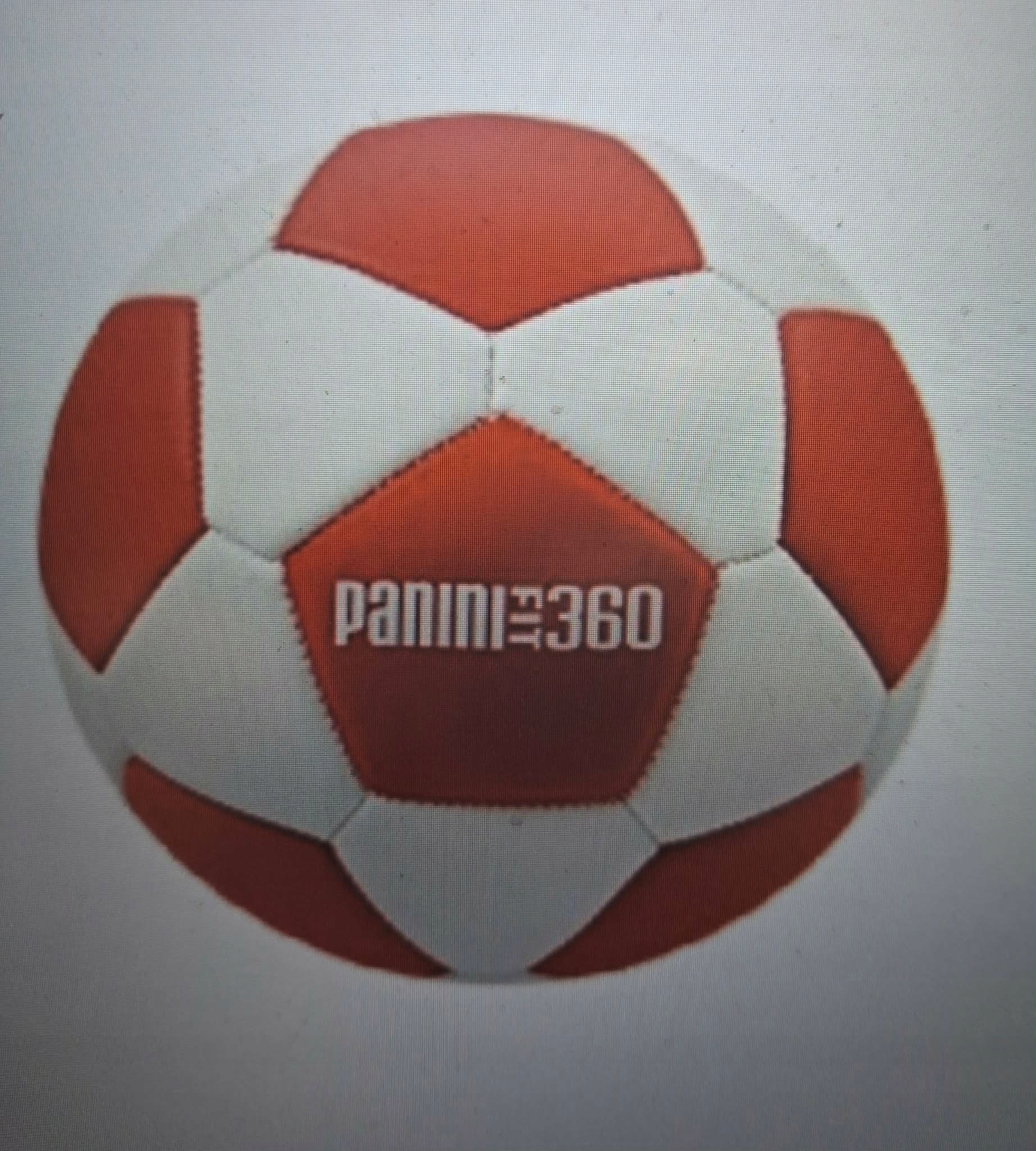 Panini do piłki ręcznej