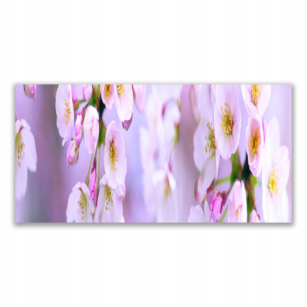 

Obraz akrylowy na prezent 140x70 Kwiaty Na Ścianę