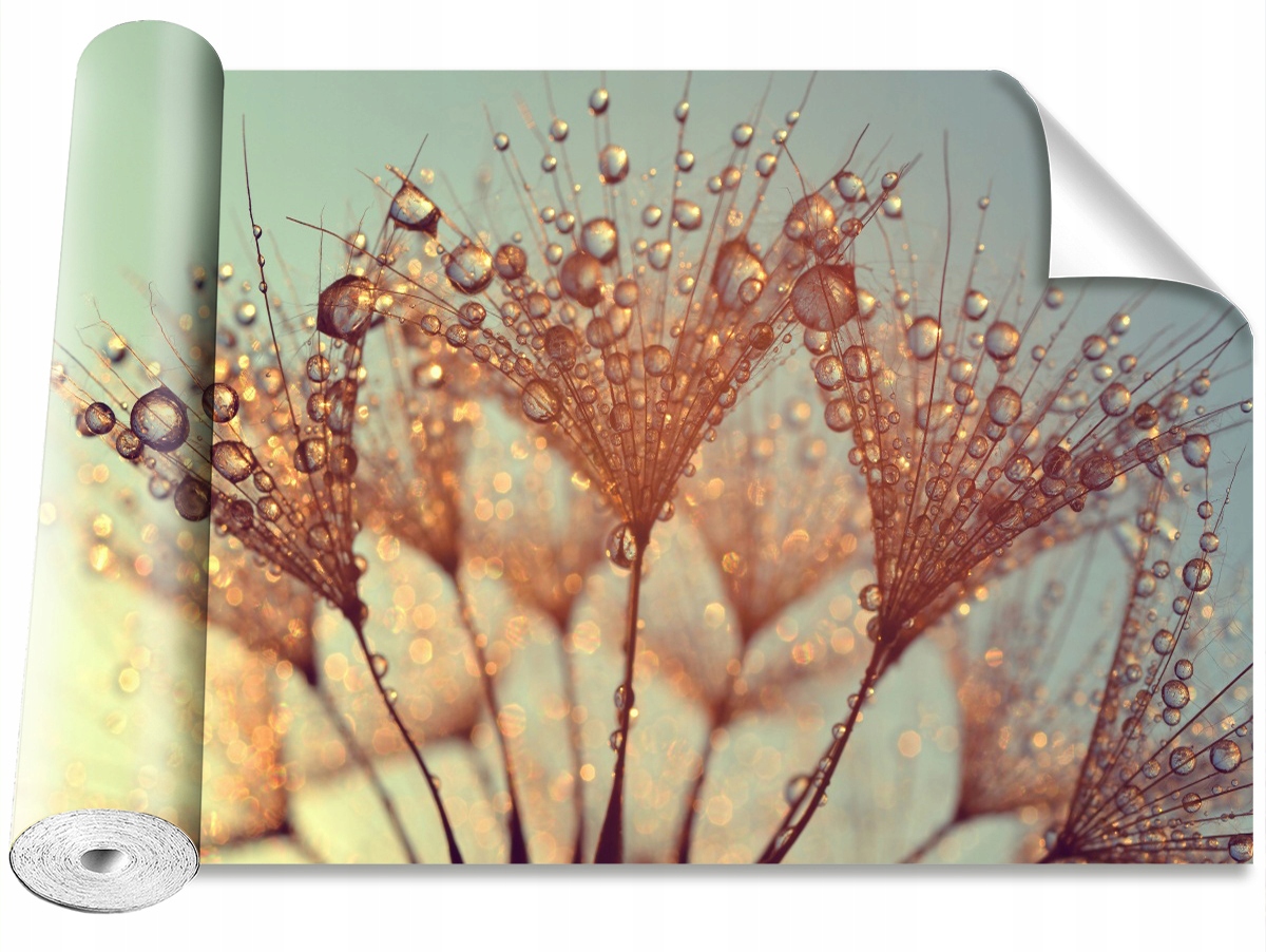 

Tapeta Samoprzylepna Dmuchawiec Rosa 104x70