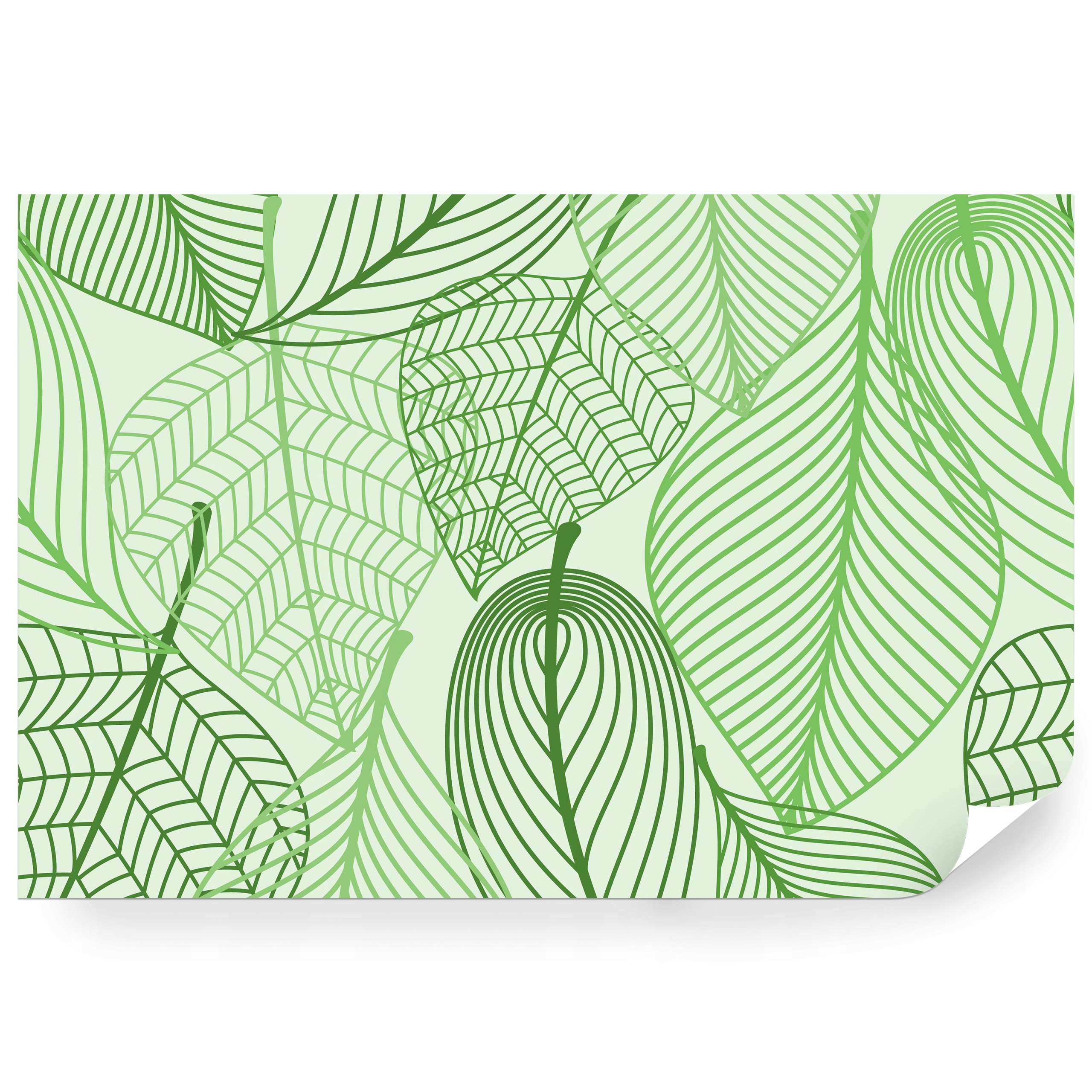 Fototapeta samolepicí Botanická Ilustrace Zelený List 360 x 240 cm