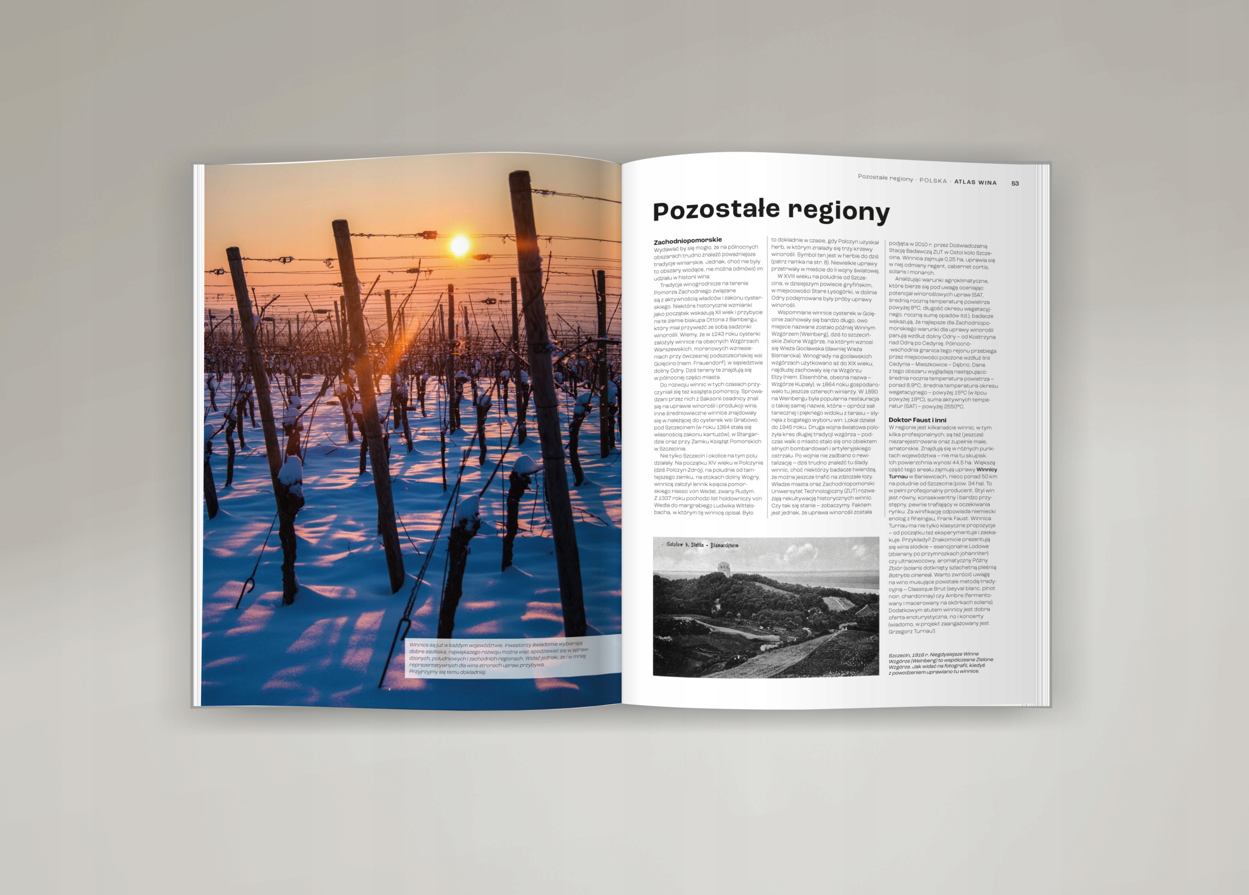 Atlas Wina. Polska Mariusz Kapczyński Autor Mariusz Kapczyński