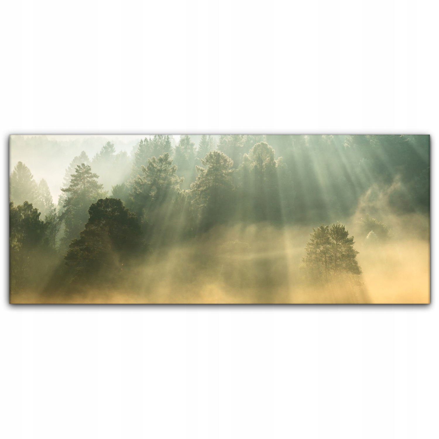 

Obraz płótno z foto 125x50 Promienie Słońca Mgła