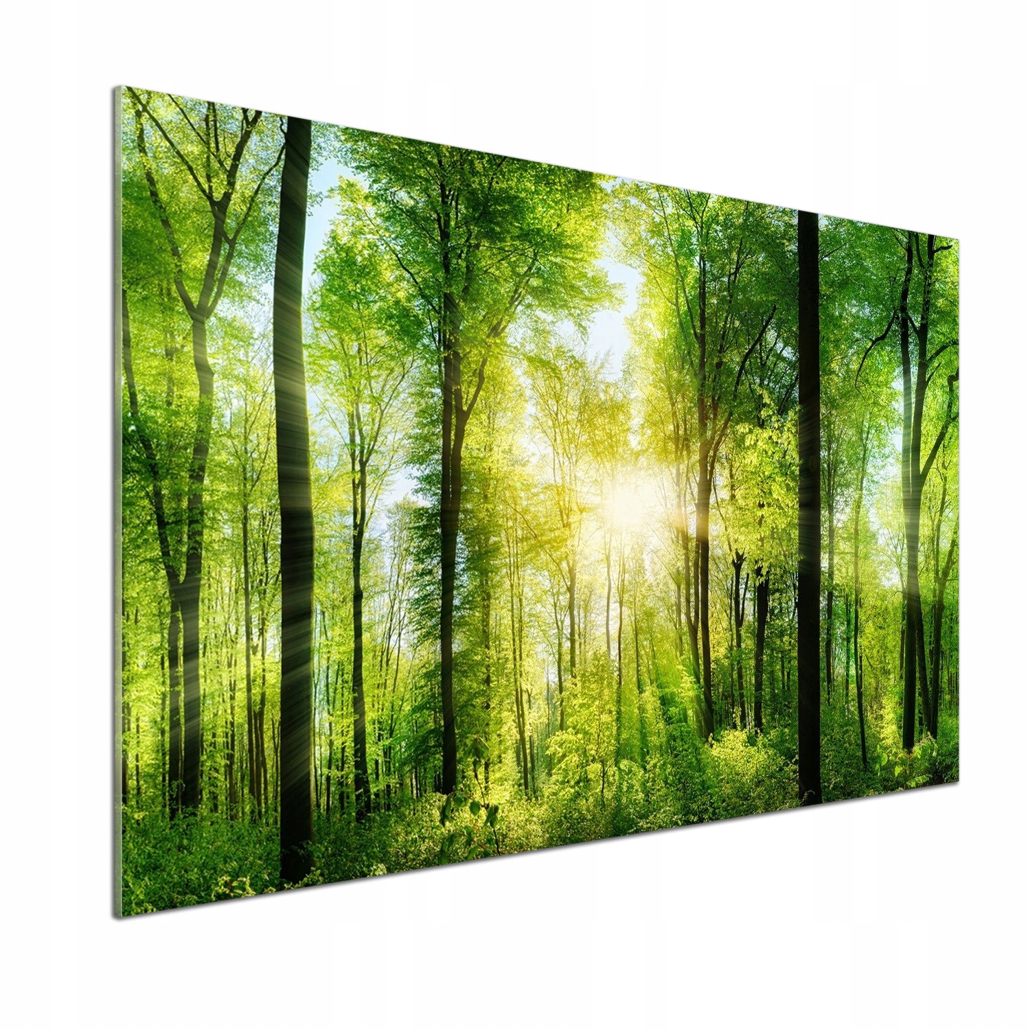 Panel dekor sklo Les na slnku 100x70 cm Lepidlo