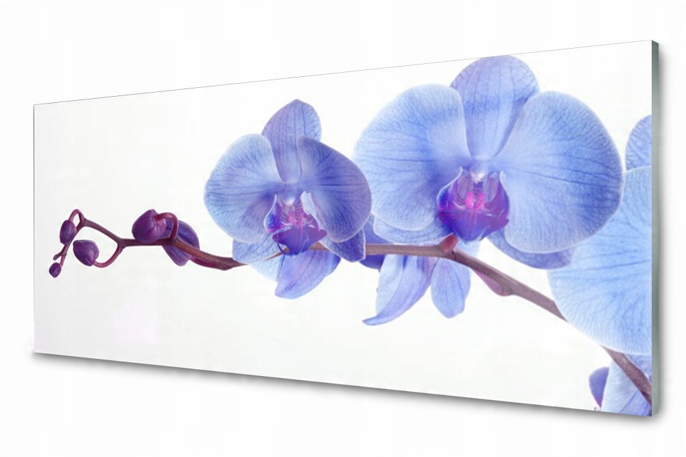 

Panel szklany do kuchni Kwiaty Roślina 125x50