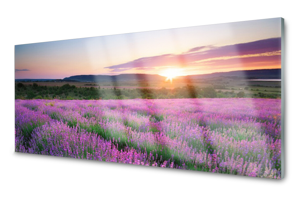 Skleněný panel do kuchyně Levandule Pole Západ 125x50