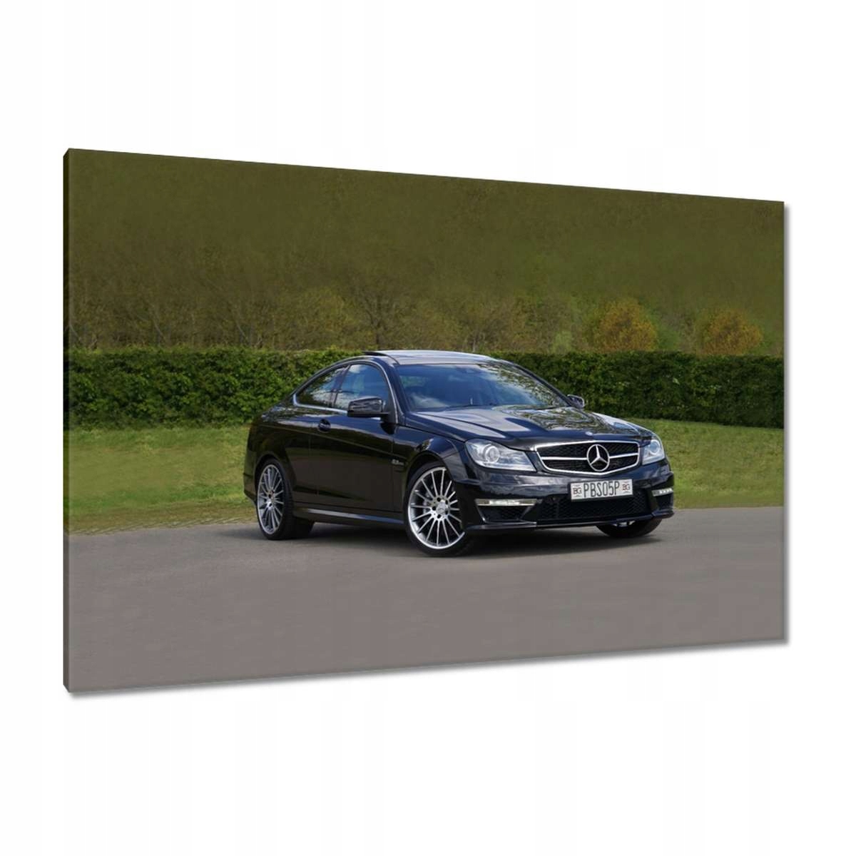 Obrazy 120x80 Mercedes
