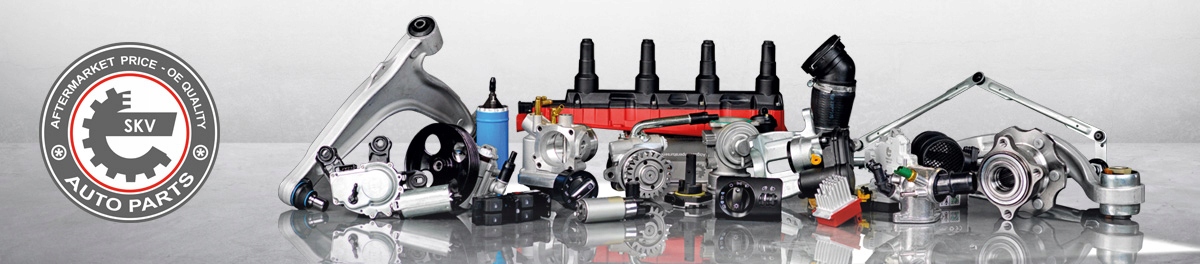 ESEN SKV ZESTAW NAPRAWCZY POMPY VACUM 18SKV805 Numer katalogowy części 18SKV805