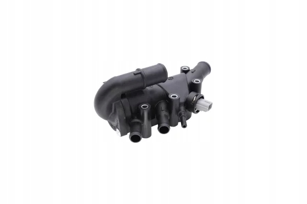 TERMOSTAT KPL. Z OBUDOWA DELLO AUTOMEGA -