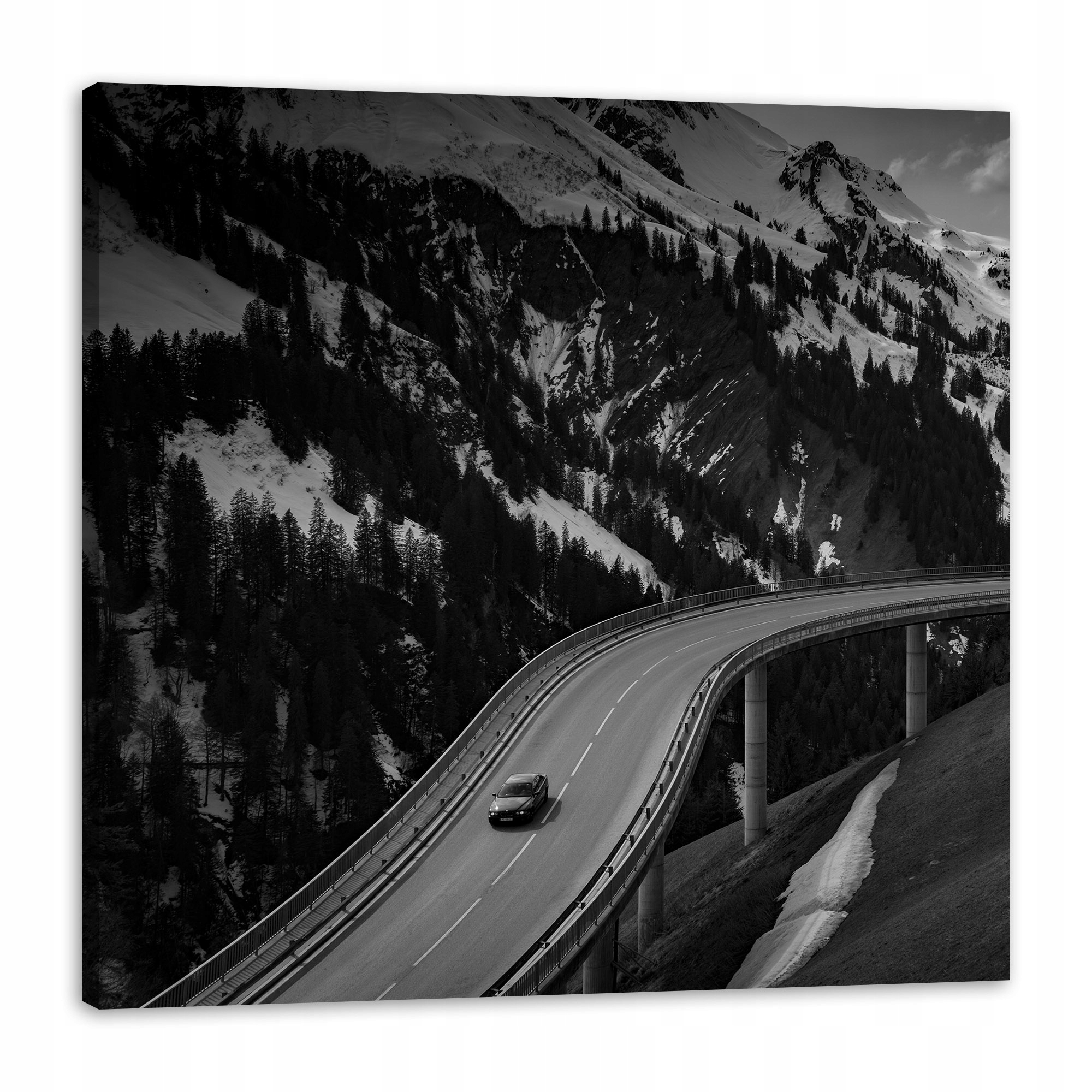 Obraz na plátně Příroda Cesta přes hory 80x80 cm