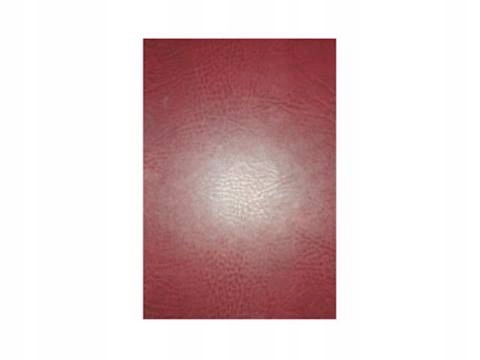 Zoologia - S Chudoba