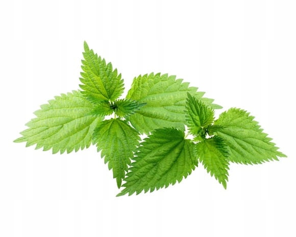 Equiherbs Pokrzywa 500 g