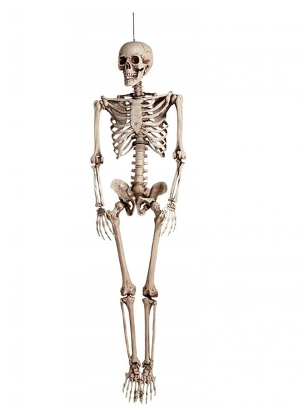 Dekoracja Wisząca Szkieletor Duży Szkielet Kostek Ozdoba Halloween 165 CM