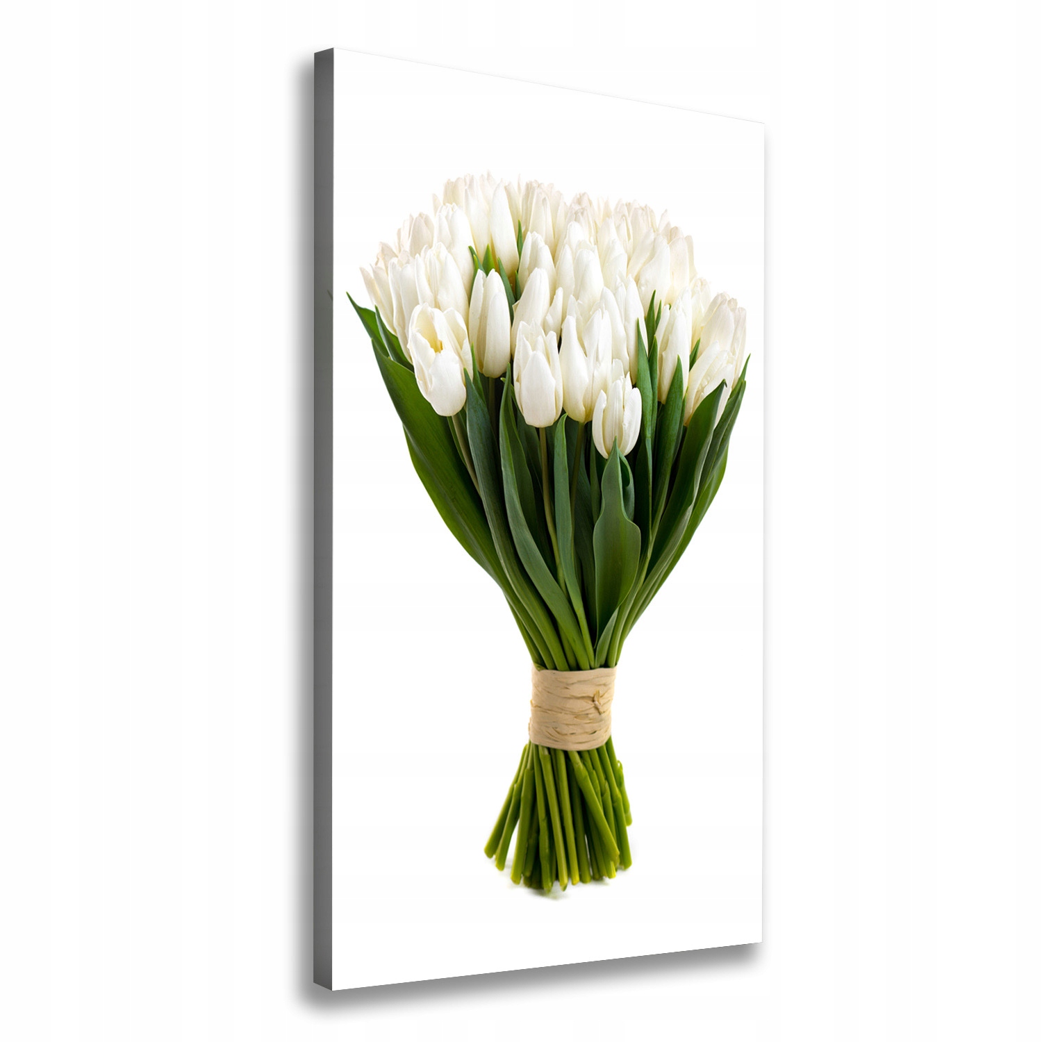 Fotoobraz obraz na plátně Bílé tulipány 60x120 cm