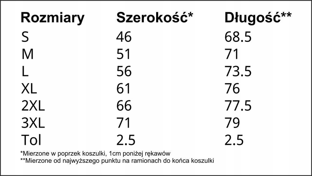 GRUBA KOSZULKA FRUIT OF THE LOOM HEAVY 195g M Marka Fruit of the Loom