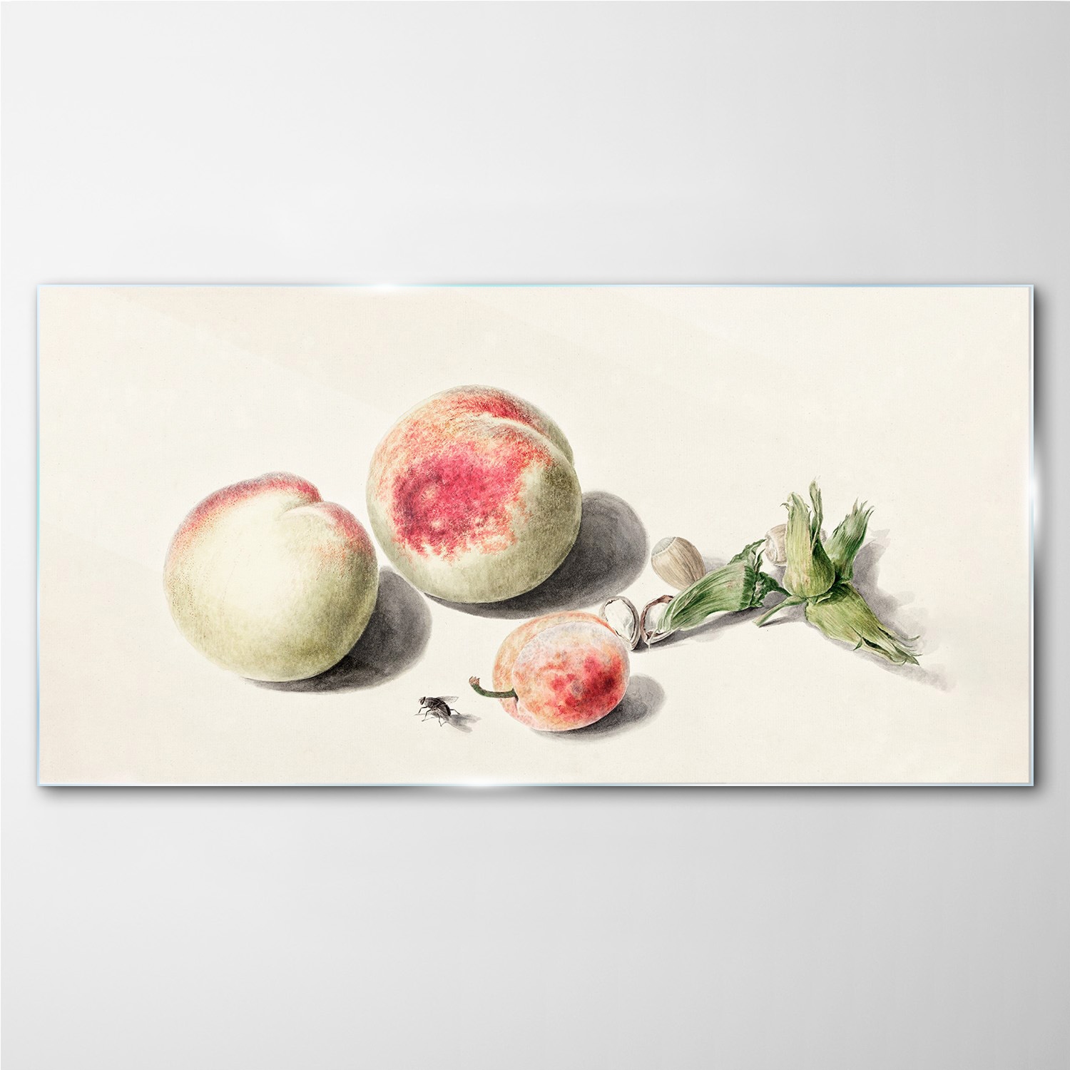 

Foto-obraz na szkle Owoce brzoskwinia 140x70 cm