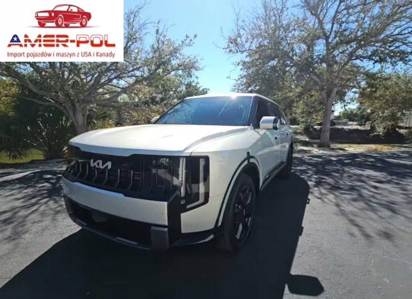 Kia Telluride SX 2027 2.5 Benzyna 291KM