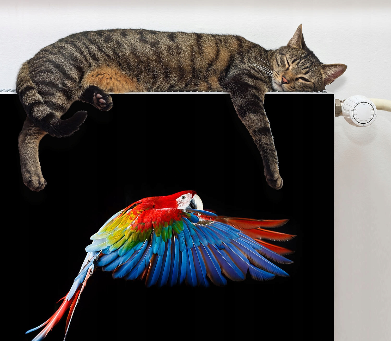 MAGNETYCZNA OSŁONA NA KALORYFER 60x60 PAPUGA FOTOTAPETA Materiał mata magnetyczna