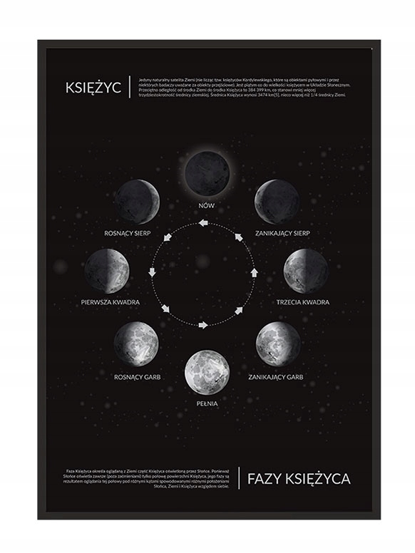 

Obraz Plakat W Ramie 33x43 cm Fazy księżyca P785